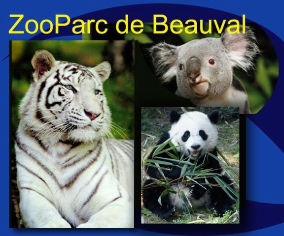zoo_de_Beauval